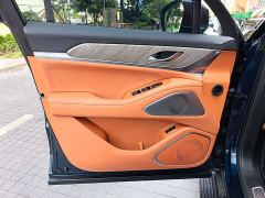 WEY Blue Mountain Four-Wheel Drive Extended Range Version - photo 11