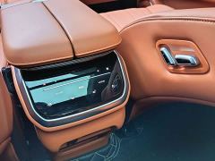 WEY Blue Mountain Four-Wheel Drive Extended Range Version - photo 13