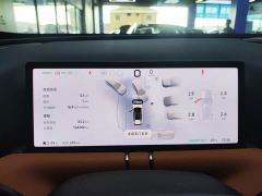 Xpeng G9 702 Max - photo 10