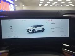 Geely Boyue 1.5TD Beloved - ფოტო 11