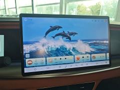 BYD Sealion 07 EV 610 Long Range Edition - ფოტო 12
