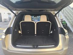 Li Auto L9 Max - photo 18