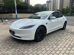 Tesla Model 3 Rear-Wheel Drive - photo 1