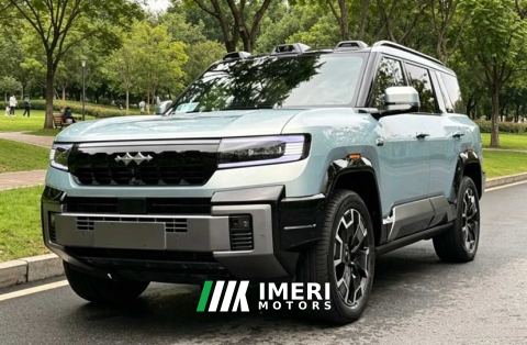 2025 Fangchengbao Leopard 8 2.0T Zhiyong Ultimate Edition 7-seater - car from China