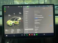 Tesla Model Y Long Range All-Wheel Drive - ფოტო 18
