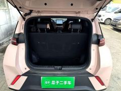 BYD Seagull Glory Edition 305km Freedom Version - ფოტო 18