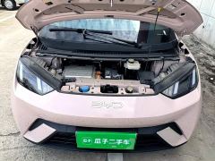 BYD Seagull Glory Edition 305km Freedom Version - ფოტო 19