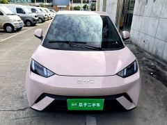 BYD Seagull Glory Edition 305km Freedom Version - ფოტო 2