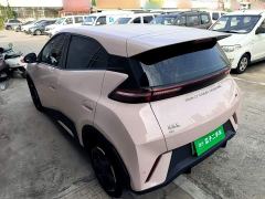 BYD Seagull Glory Edition 305km Freedom Version - ფოტო 4