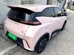 BYD Seagull Glory Edition 305km Freedom Version - ფოტო 6