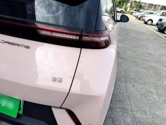 BYD Seagull Glory Edition 305km Freedom Version - ფოტო 7