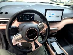 BYD Seagull Glory Edition 305km Freedom Version - ფოტო 9