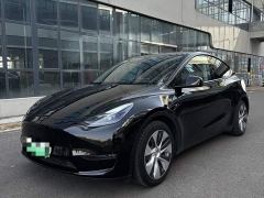Tesla Model Y Standard Range RWD - фото 1
