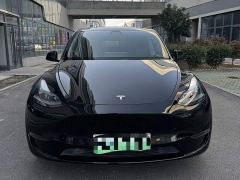 Tesla Model Y Standard Range RWD - фото 2