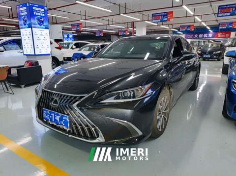 2022 Lexus ES 260 Excellence Edition - car from China