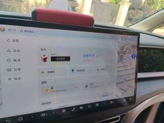 Denza D9 DM-i 970 AWD Premium Edition - photo 13