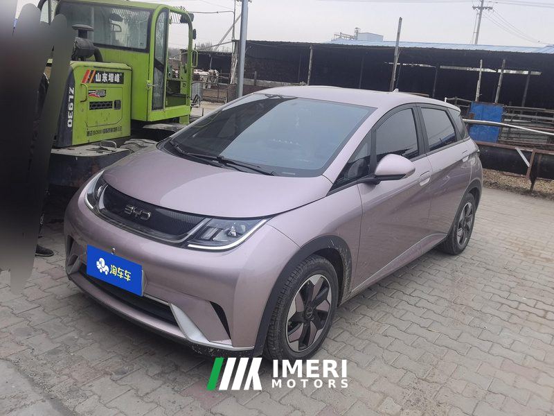 BYD Dolphin Honor Edition 420km Free Version - car from China