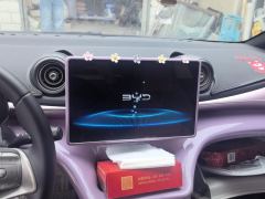 BYD Dolphin Honor Edition 420km Free Version - photo 17