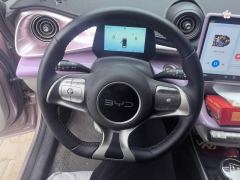 BYD Dolphin Honor Edition 420km Free Version - photo 18