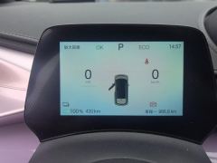 BYD Dolphin Honor Edition 420km Free Version - photo 20