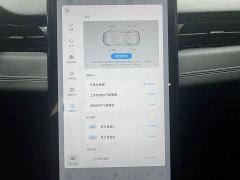 XPeng G3 G3i 520N - ფოტო 12