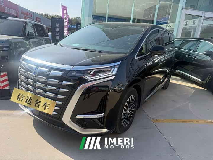 Denza D9 DM-i 1050 Premium - car from China