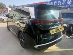 Denza D9 DM-i 1050 Premium - photo 7
