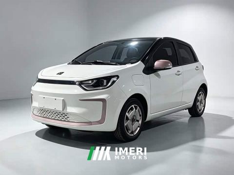 2022 JAC Flower Fairy Flower Fairy Starry Sky - car from China