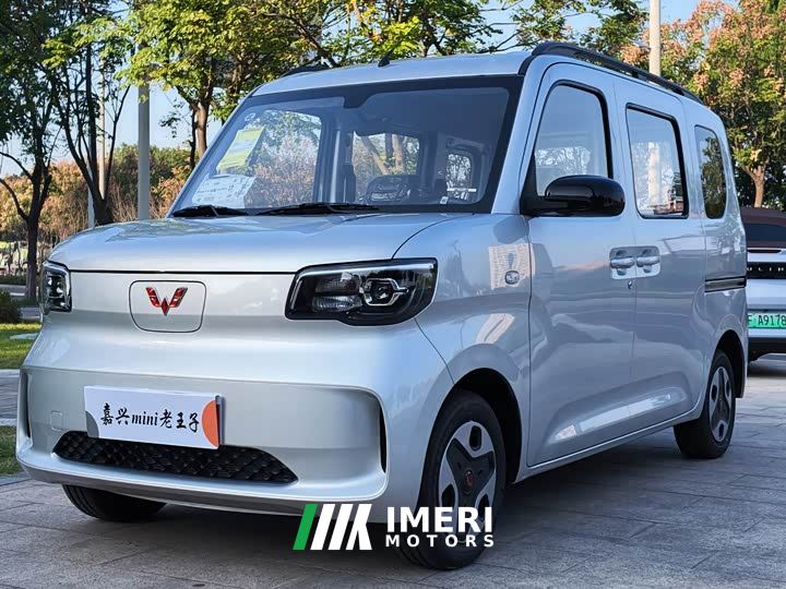 Wuling Zhiguang New Energy 305km Aspiring Edition - автомобиль из Китая