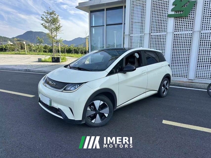 BYD Dolphin 420km Stylish Edition - car from China