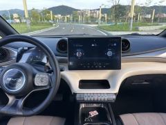 BYD Dolphin 420km Stylish Edition - photo 14