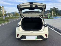 BYD Dolphin 420km Stylish Edition - photo 17