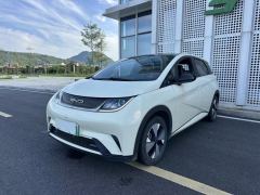 BYD Dolphin 420km Stylish Edition - photo 20