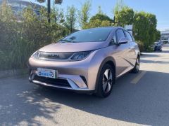 BYD Dolphin 420km Stylish Edition - photo 1