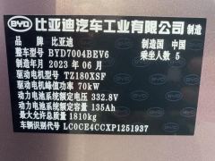 BYD Dolphin 420km Stylish Edition - photo 13