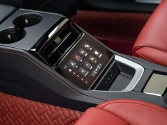 Porsche Panamera Executive Extended Wheelbase 2.9T - ფოტო 14