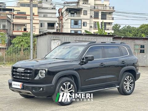 2021 Great Wall Dachshund 1.5T DCT Two-Wheel Drive Malinois Edition - ავტომობილი ჩინეთიდან