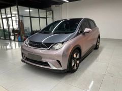 BYD Dolphin 401km Knight Edition - photo 2