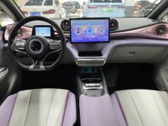 BYD Dolphin 401km Knight Edition - photo 4