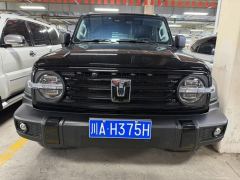 Tank 300 2.0T Conquistador Gasoline - ფოტო 2