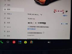 Tesla Model Y Rear-Wheel Drive - ფოტო 11