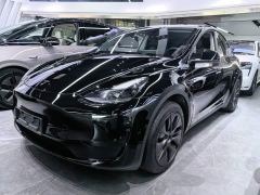 Tesla Model Y Rear-Wheel Drive - photo 1