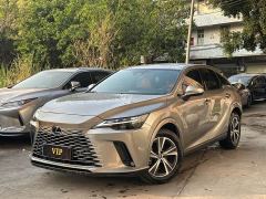 Lexus RX 300 AWD Premium Edition - фото 1
