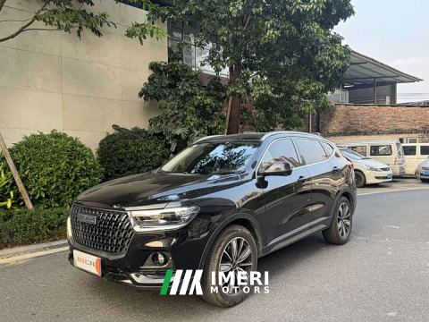 2024 Haval H6 National Trend Edition 1.5T Automatic Champion Version - автомобиль из Китая