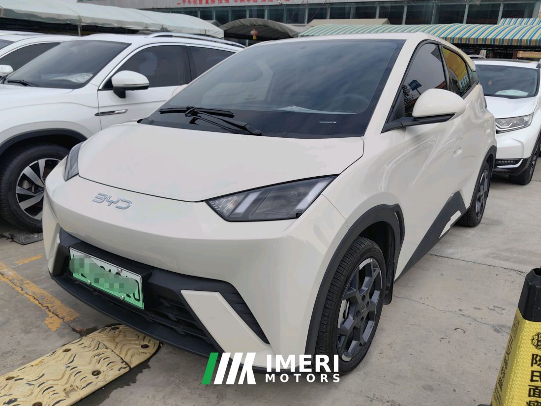 BYD Seagull 305km Free Version - car from China