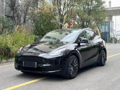 Tesla Model Y Rear-Wheel Drive - photo 1