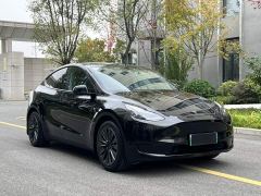 Tesla Model Y Rear-Wheel Drive - photo 3