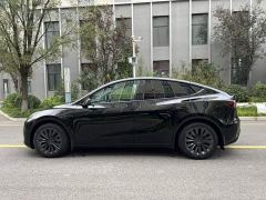 Tesla Model Y Rear-Wheel Drive - photo 4