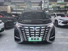 Denza D9 DM-i 980 Four-Wheel Drive Premium - фото 1