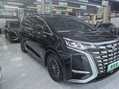 Denza D9 DM-i 980 Four-Wheel Drive Premium - фото 2